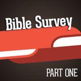 Bible Survey: Part One