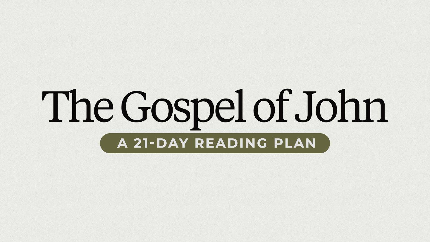 21 Days in the Gospel of John With Levi Lusko 