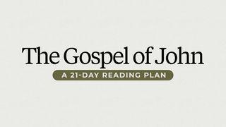 21 Days in the Gospel of John With Levi Lusko 