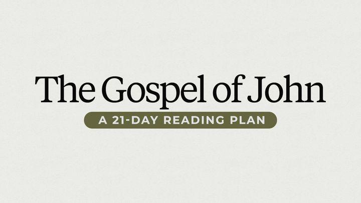 21 Days in the Gospel of John With Levi Lusko 