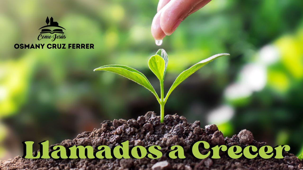 Llamados a crecer