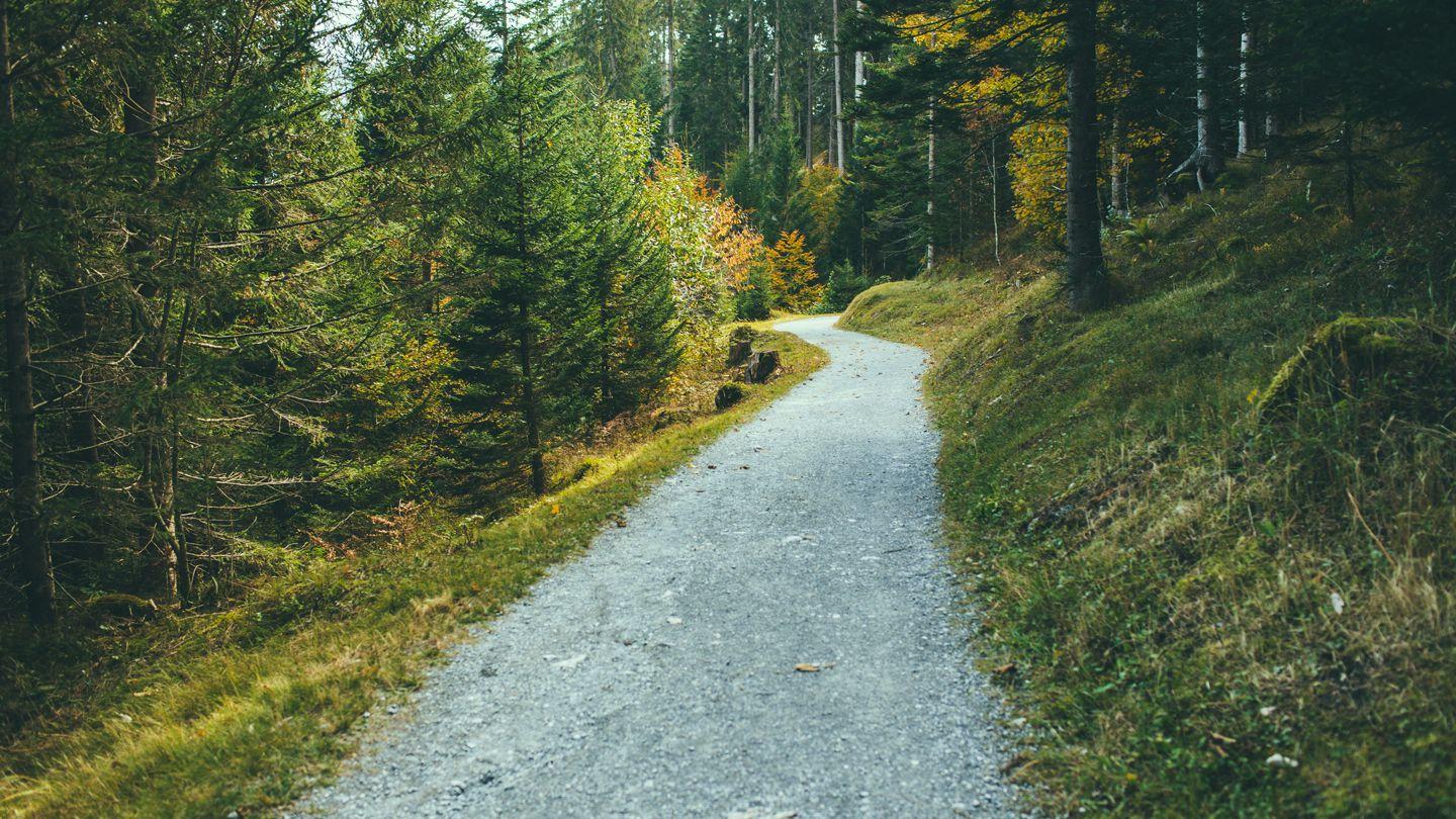 Change Before You Have To Genesis 6:11-17 New Living Translation