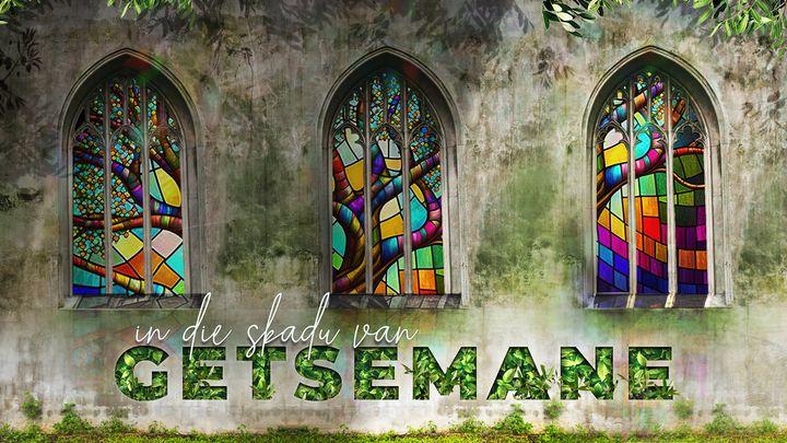 Lydenstydgids: In die Skadu van Getsemane