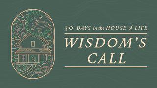 Wisdom's Call: 30 Days in the House of Life 箴言 20:30 新標點和合本, 神版