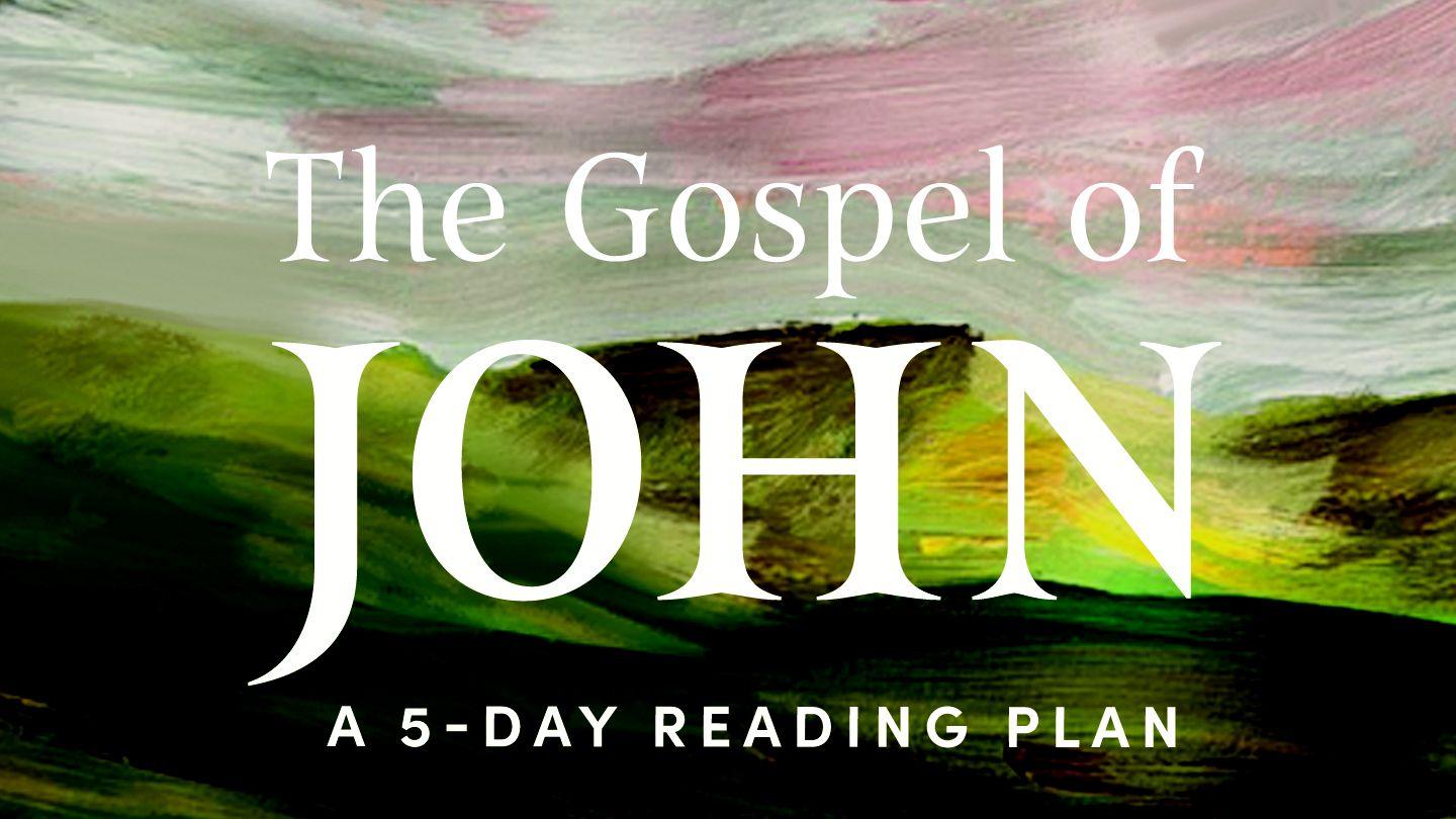 The Gospel of John: Savoring the Peace of Jesus in a Chaotic World John 2:18-19 King James Version