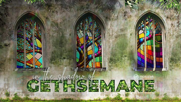 KykNET Lent Guide 2025: In the Shadow of Gethsemane