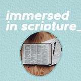 Everyday Disciple 2 - Immersed in Scripture