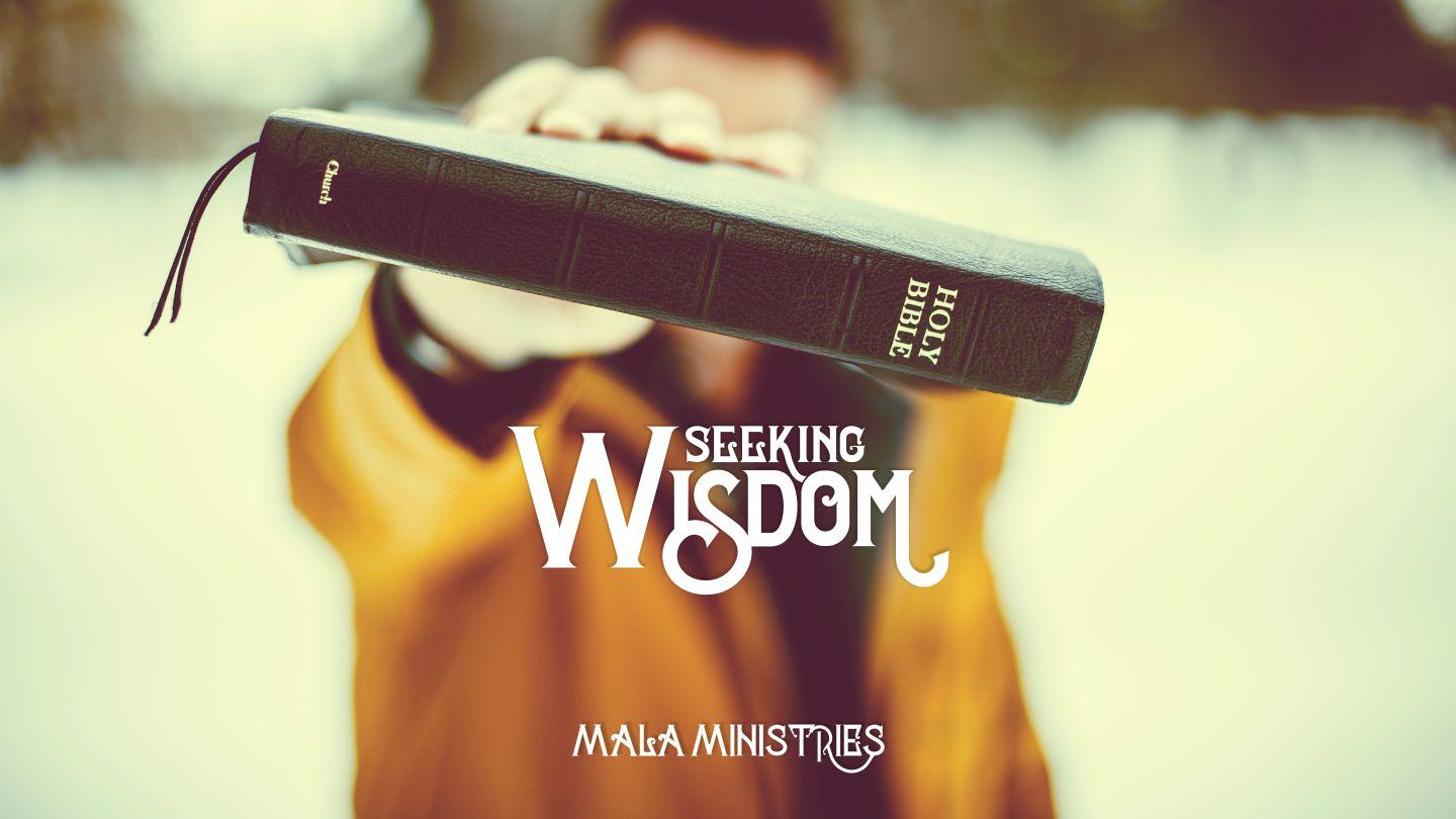 Seeking Wisdom Proverbs 12:15 New International Version (Anglicised)