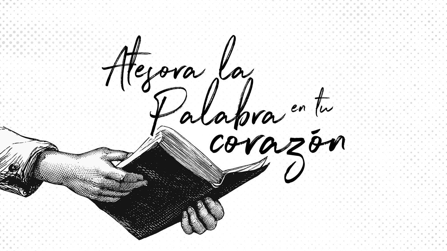 Atesora La Palabra En Tu Corazón Proverbios 3:1-22 Nueva Versión Internacional - Español