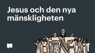 BibleProject | Jesus och den nya mänskligheten