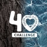 Create in Me a Clean Heart: The 40-Day Challenge (Psalms)