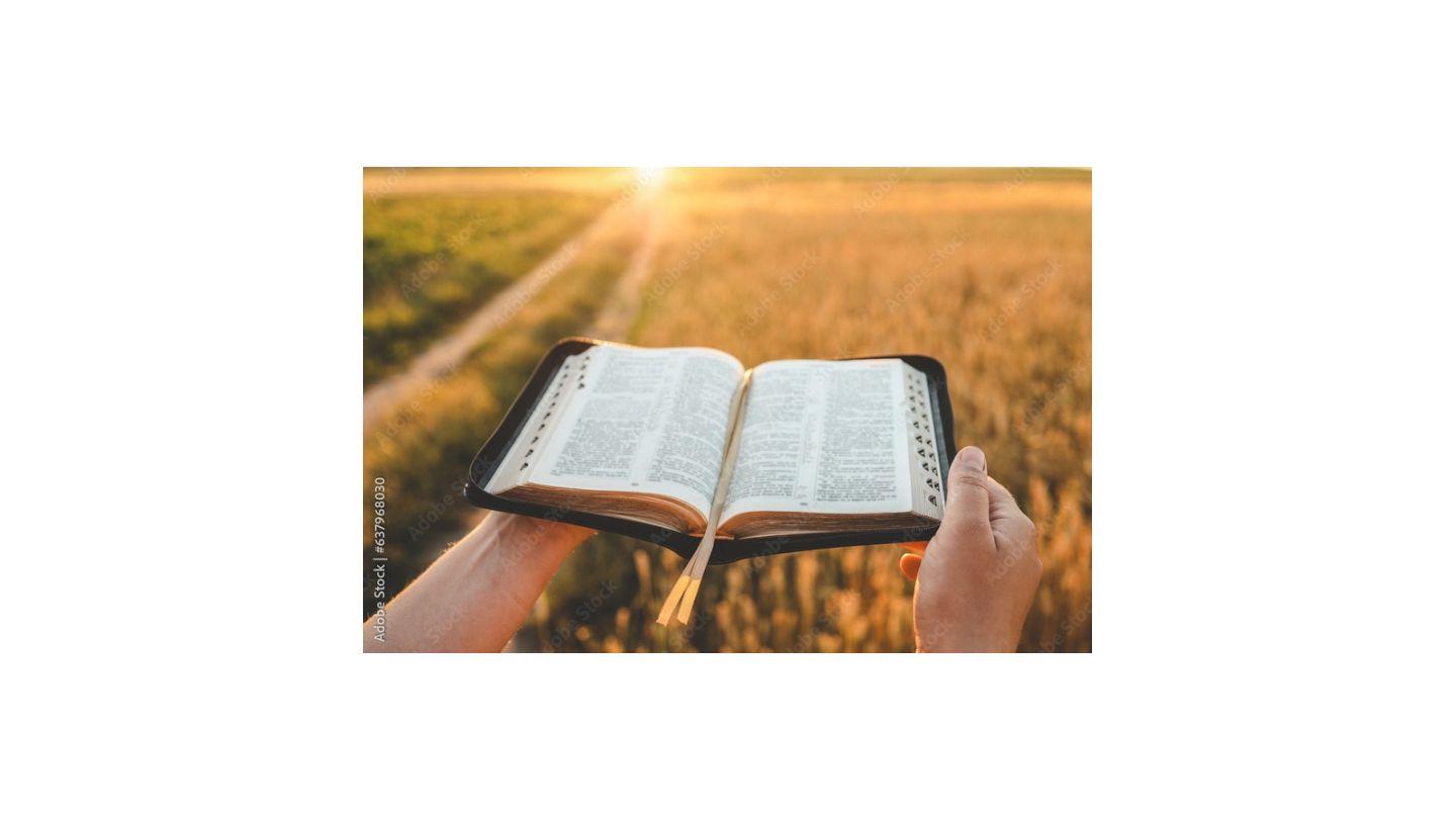 Exercite e Fortaleça Sua Fé Hebreus 6:13-15 Nova Versão Internacional - Português