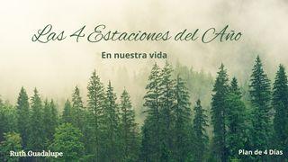 Las 4 Estaciones Del Año en Nuestra Vida Filipenses 4:9 Biblia Reina Valera 1960