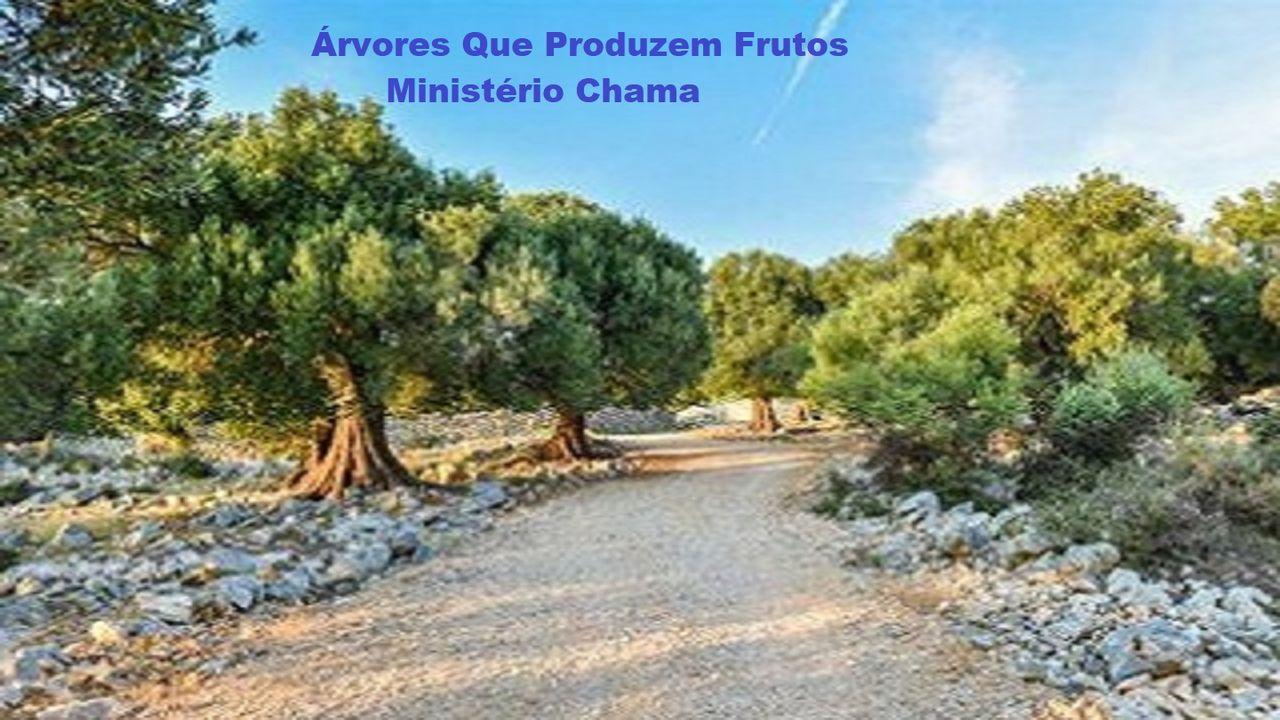 Árvores Que Produzem Frutos