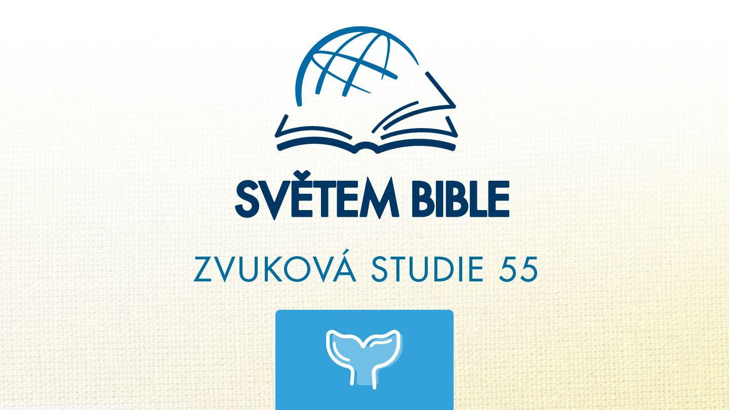 Jonáš Jonáa 2:2 Jonáa