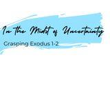 In the Midst of Uncertainty: Grasping Exodus 1-2