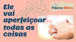 Ele Vai Aperfeiçoar Todas as Coisas Jon 1:1 Buk Baibel long Tok Pisin