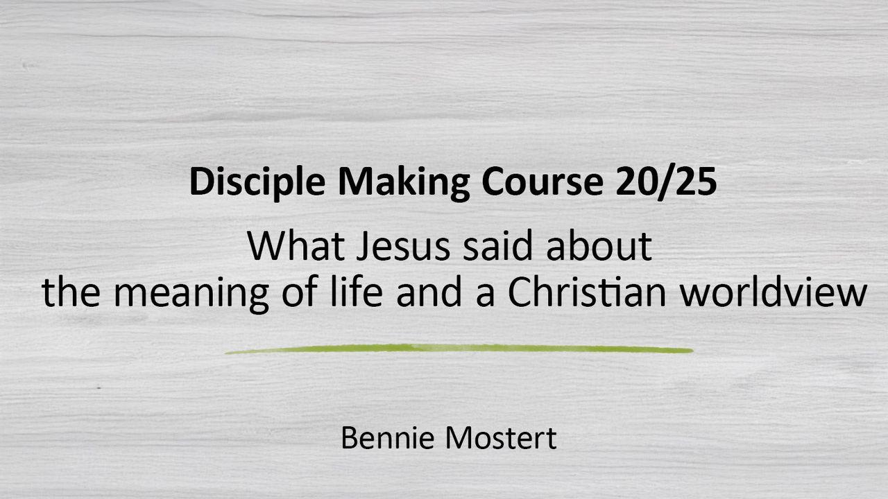 What Jesus Said About the Meaning of Life and a Christian Worldview
