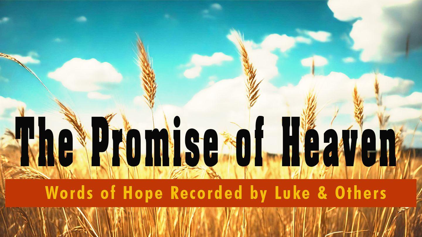 The Promise of Heaven Matthew 13:43 Contemporary English Version