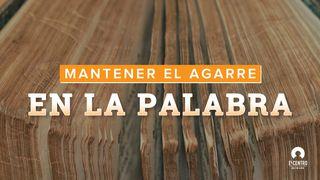 Momentum: Mantener El Agarre En La Palabra S. Mateo 6:19-31 Biblia Reina Valera 1960