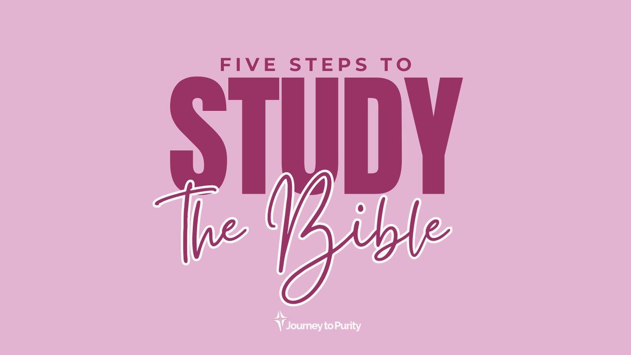 Five Steps to Study the Bible