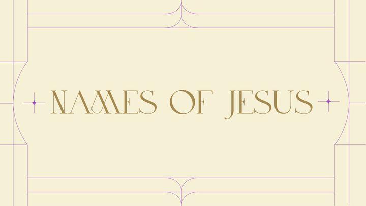 The Names of Jesus: A Holy Week Devotional