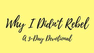 Why I Didn't Rebel Romans 12:1-2 Amplified Bible, Classic Edition