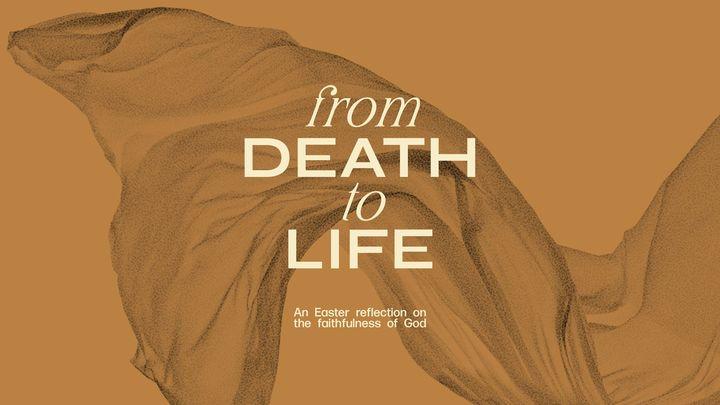 From Death to Life