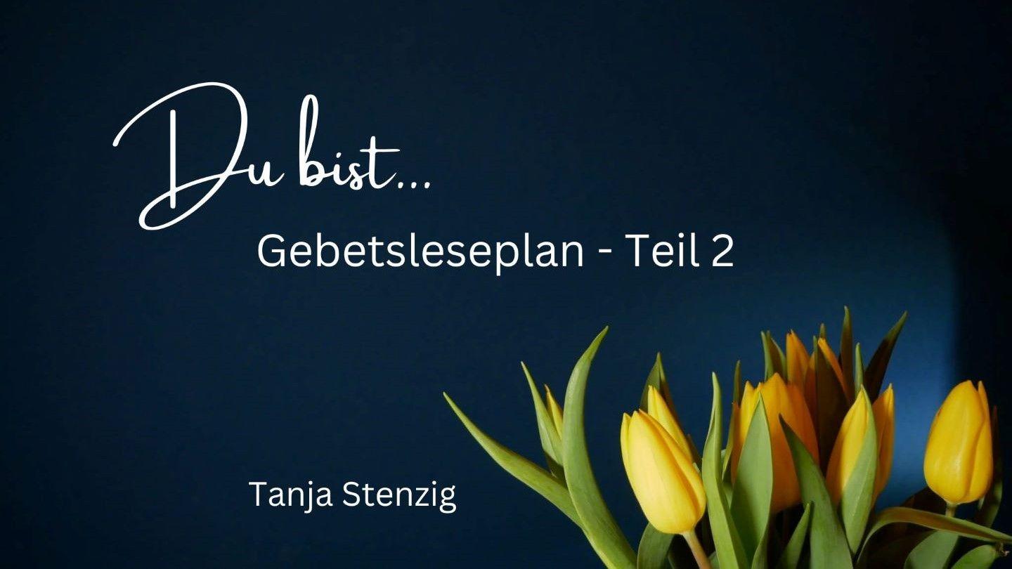 Du bist... ein Gebetsleseplan Teil 2 يُوحَنَّا 14:1 العهد الجديد بالدارجة التونسية 2022
