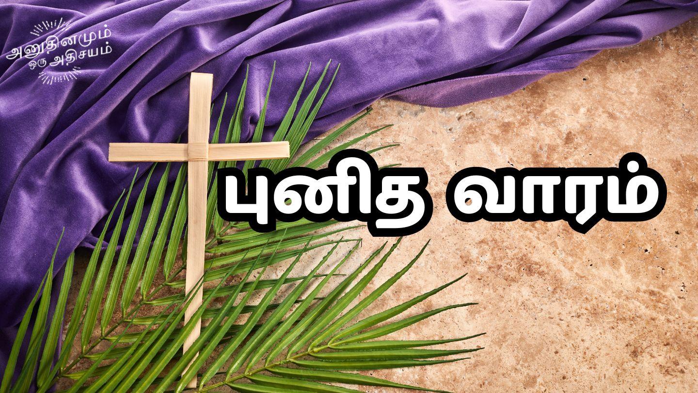 புனித வாரம் மத்தேயு 28:5-6 பரிசுத்த வேதாகமம் O.V. (BSI)