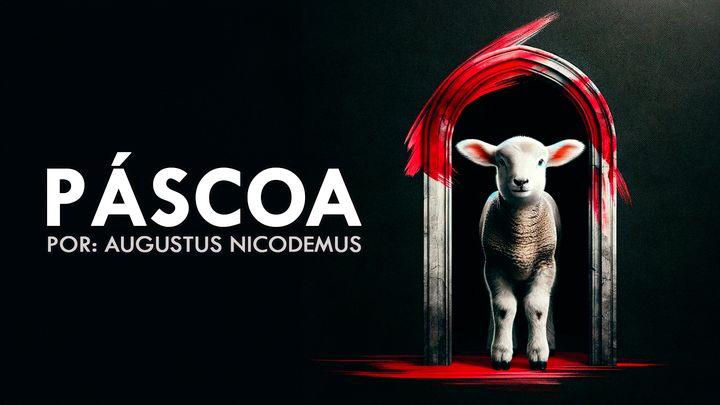 Páscoa: Redescobrindo a Cruz de Cristo