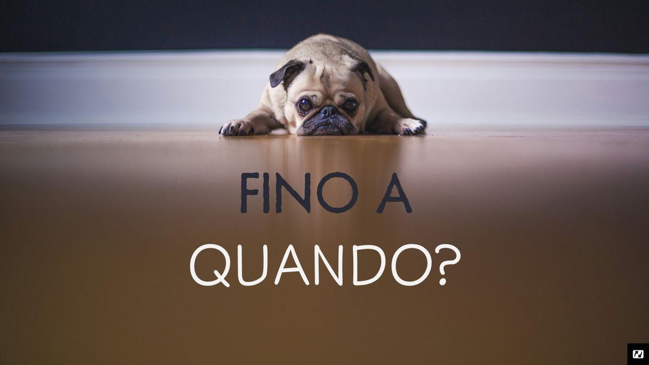 Fino A Quando?