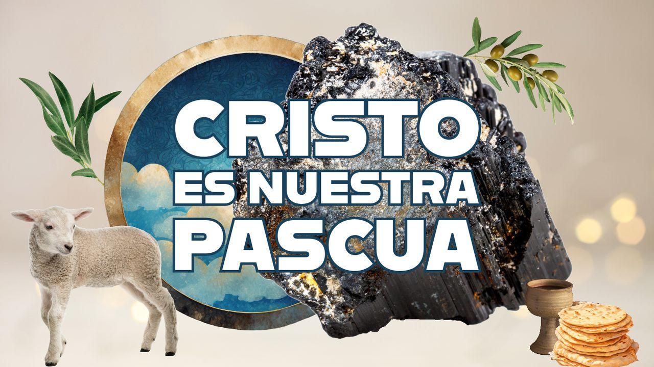 Cristo es nuestra Pascua 