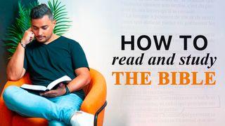 How to Read God's Word 馬可福音 10:5-9 新標點和合本, 神版