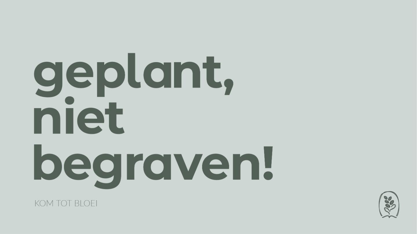 DagelijkseBroodkruimels - Geplant, niet begraven! يُوحَنَّا 24:12 الكتاب المقدس بالعربي الدارجي هنا تشاد
