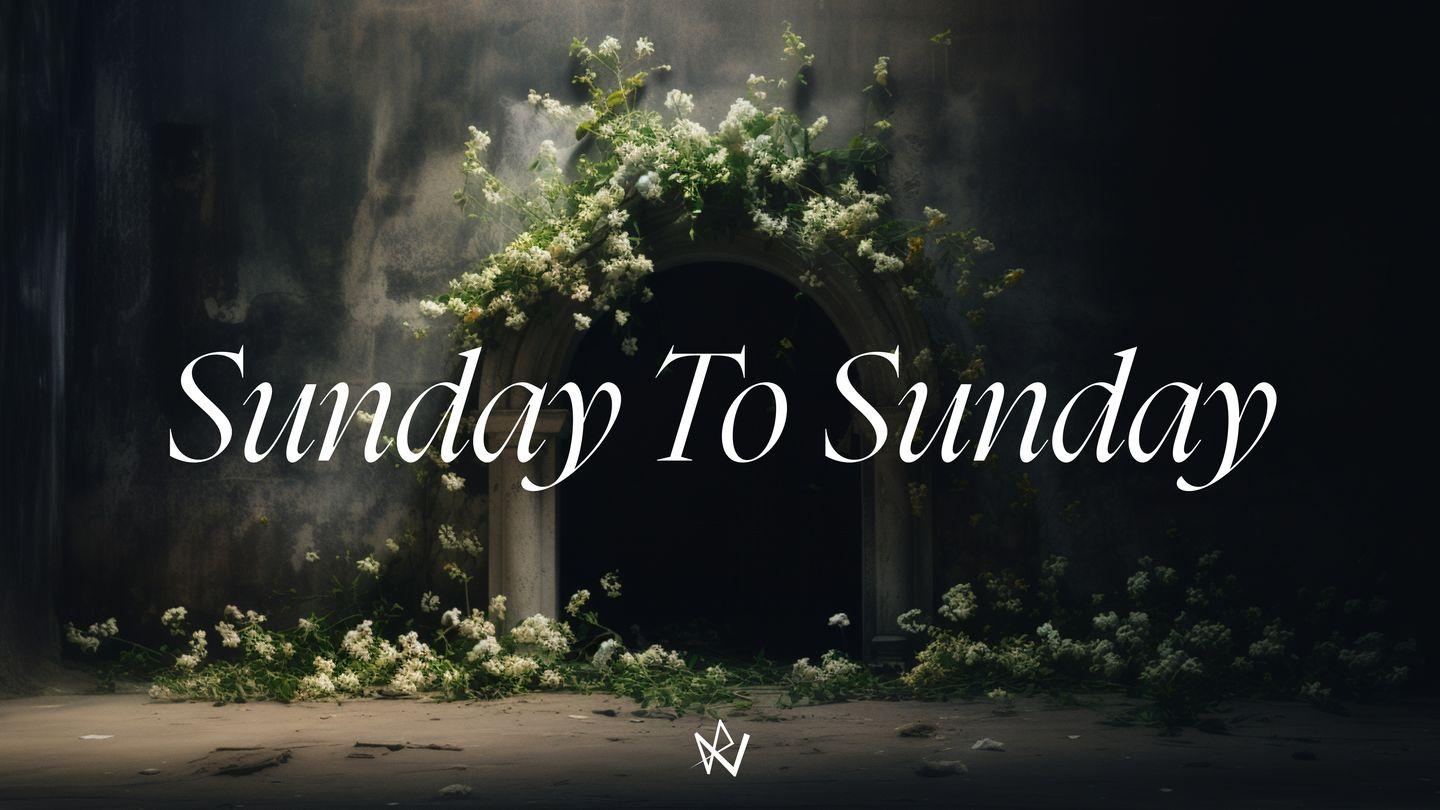 Sunday to Sunday John 12:1-9 New International Version (Anglicised)