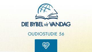 1 Johannes 1 Johannes 2:5-10 Die Bybel 2020-vertaling