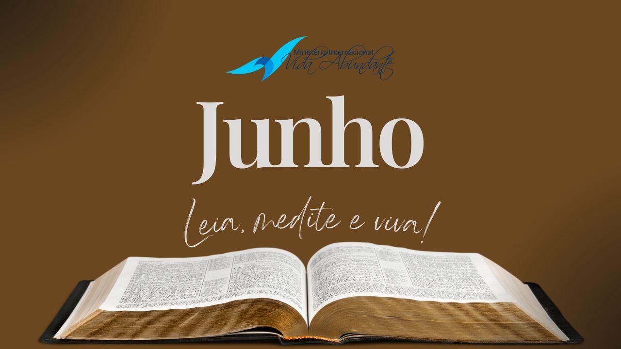 Plano De Leitura Mensal Vida Abundante (Junho)