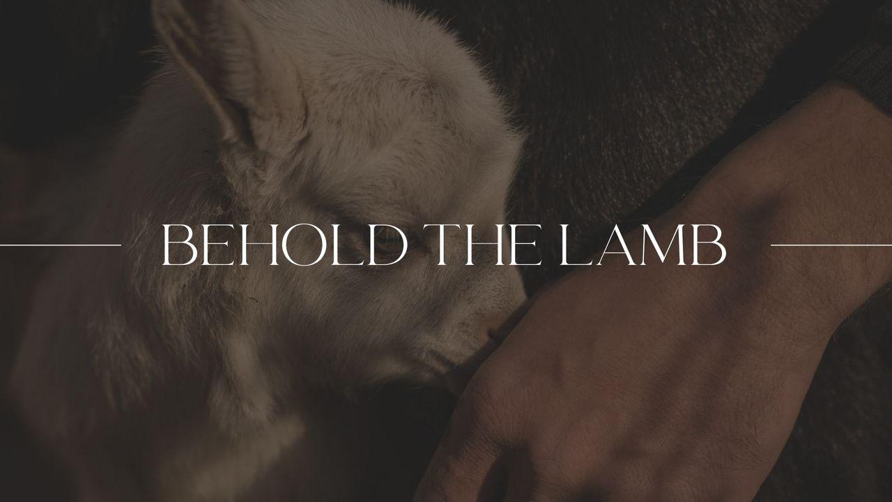 Behold the Lamb