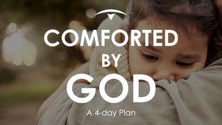 Comforted by God, a Lectio Divina Isaiah 49:15-18 King James Version