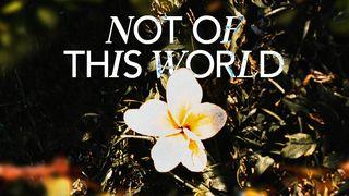 Not of This World 1 Peter 4:3-8 New Living Translation