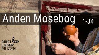 Anden Mosebog 1-34