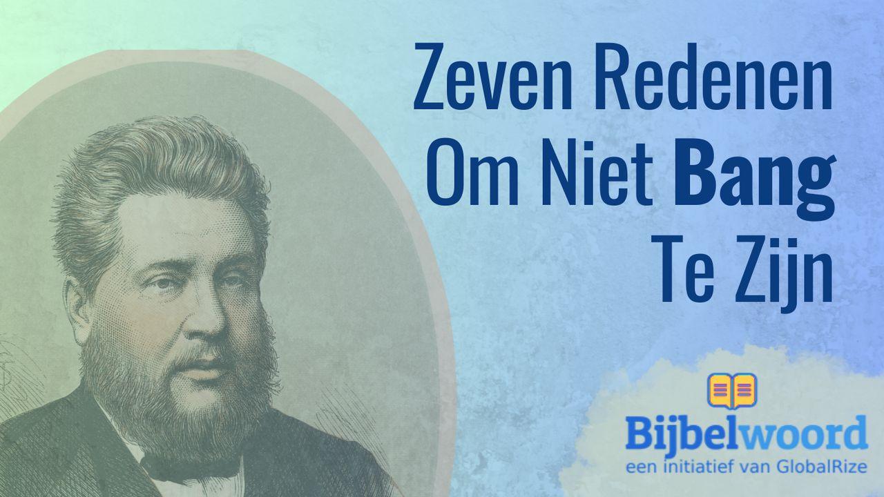 Zeven redenen om niet bang te zijn