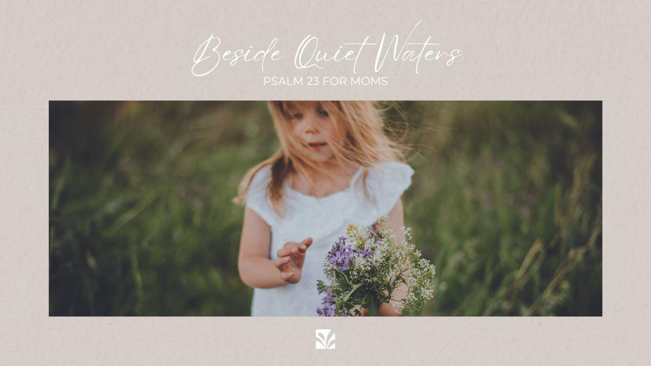 Beside Quiet Waters: Psalm 23