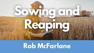 Sowing and Reaping