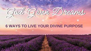 Live Into Your God-Given Dreams