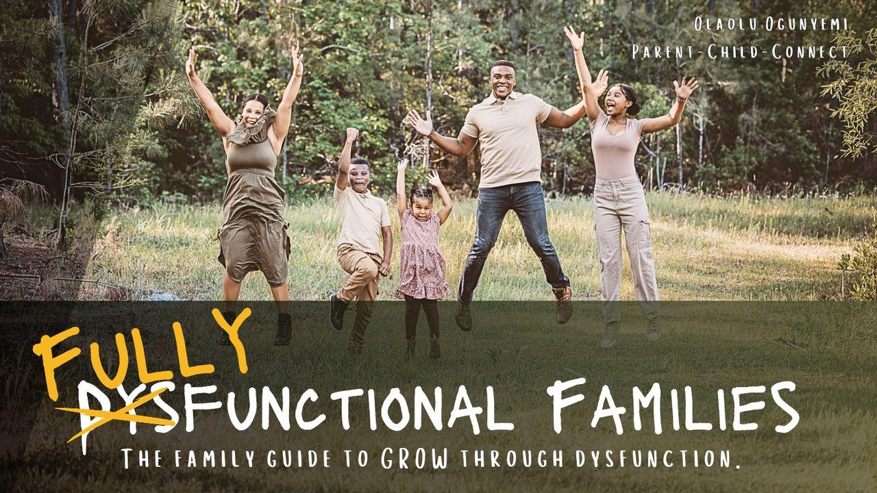 Fully Functional Family: The Family Guide to GROW Through Dysfunction.