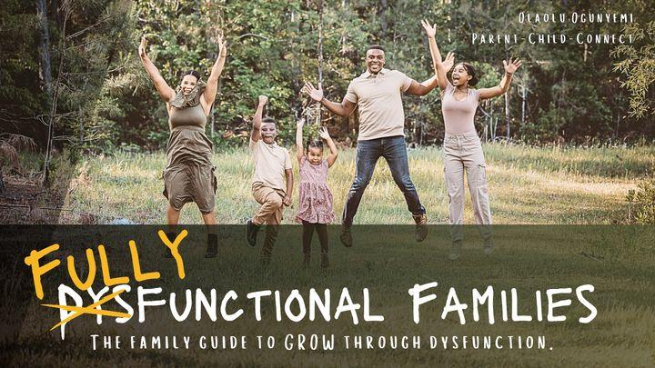 Fully Functional Family: The Family Guide to GROW Through Dysfunction.