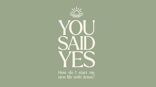You Said Yes: How Do I Start My New Life With Jesus?