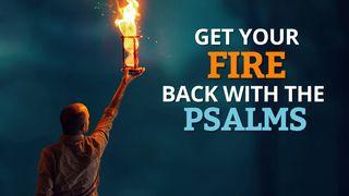 Get Your Fire Back With the Psalms! Philippians 3:5-11 King James Version